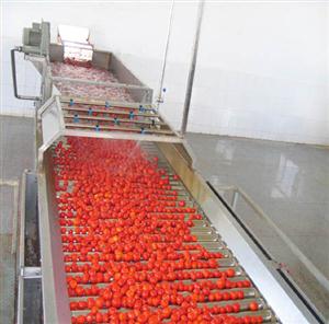Sorting Machine